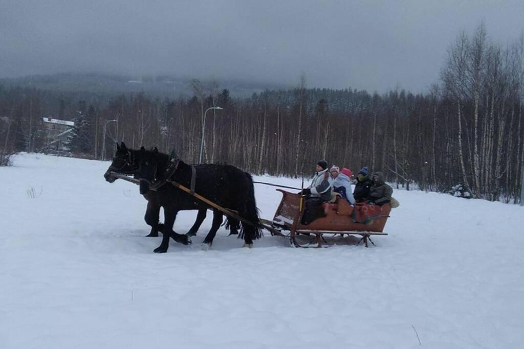 Nowoczesne Mieszkanie Blisko Natury I Sklepu Biedronka Karpacz Buitenkant foto