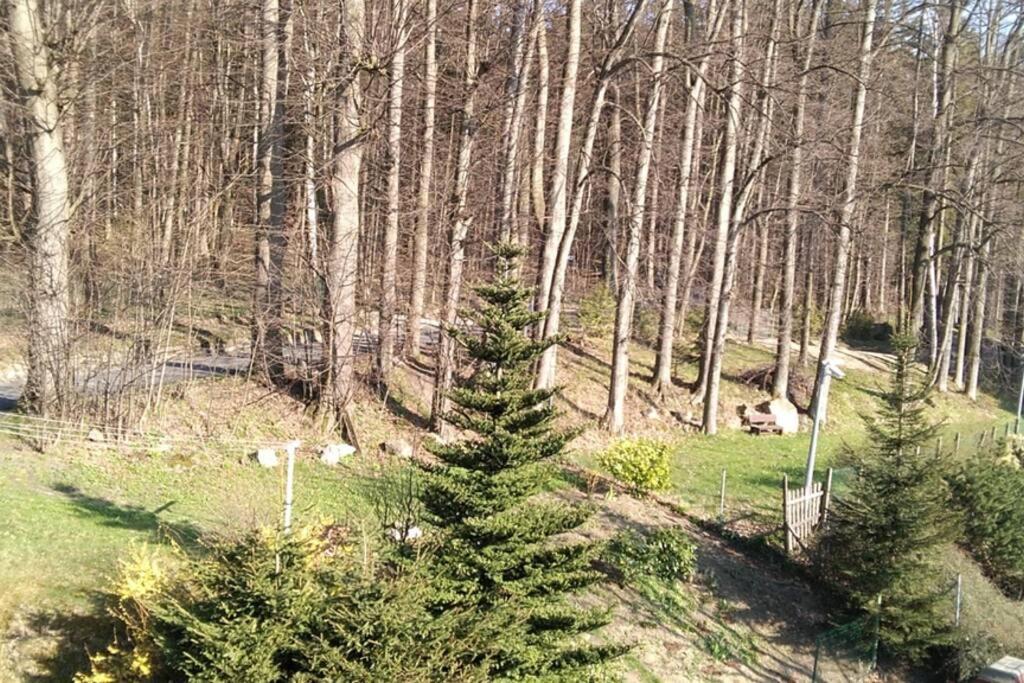 Nowoczesne Mieszkanie Blisko Natury I Sklepu Biedronka Karpacz Buitenkant foto